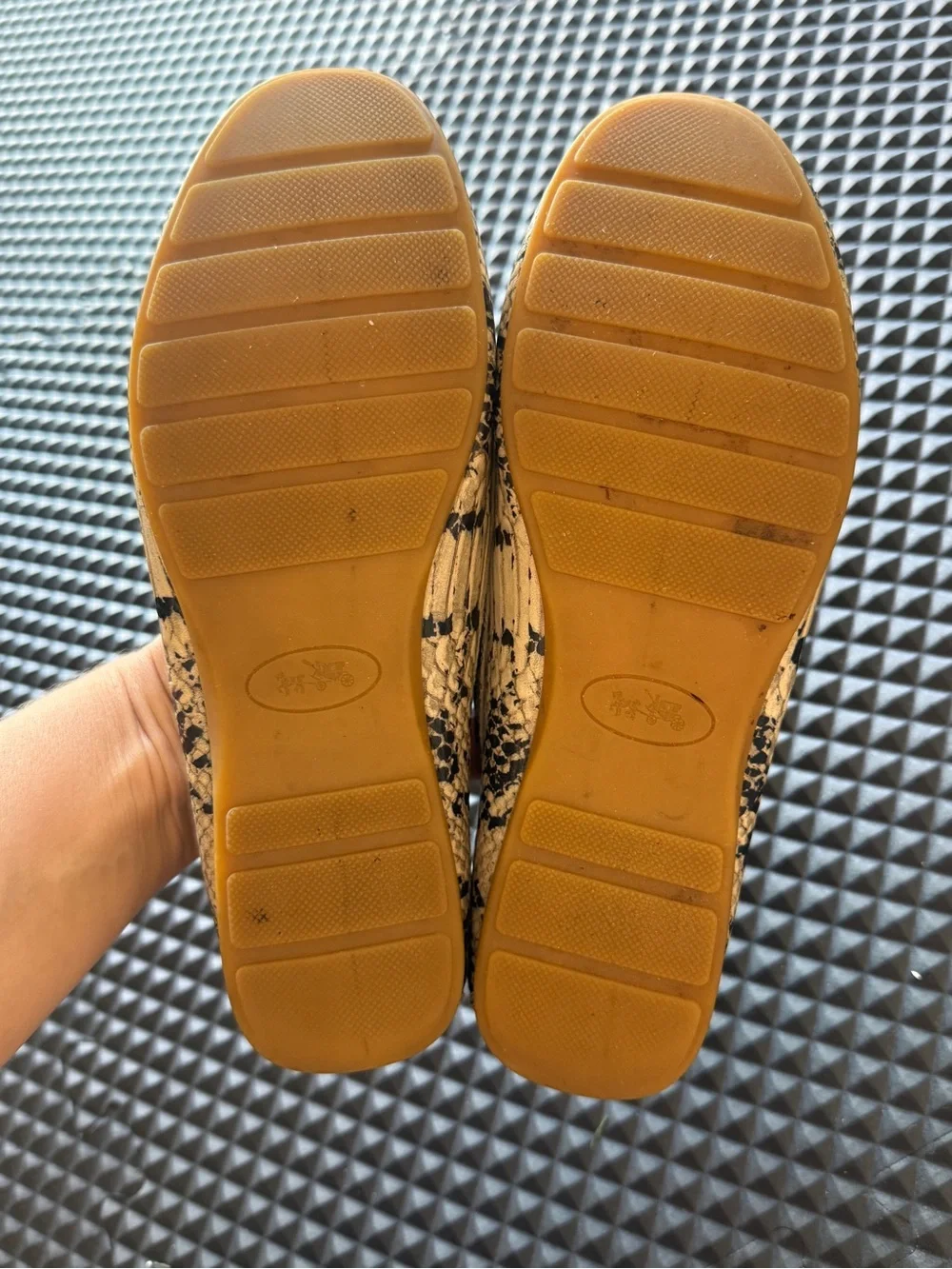 Coach snakeskin print loafers 6.5 women’s